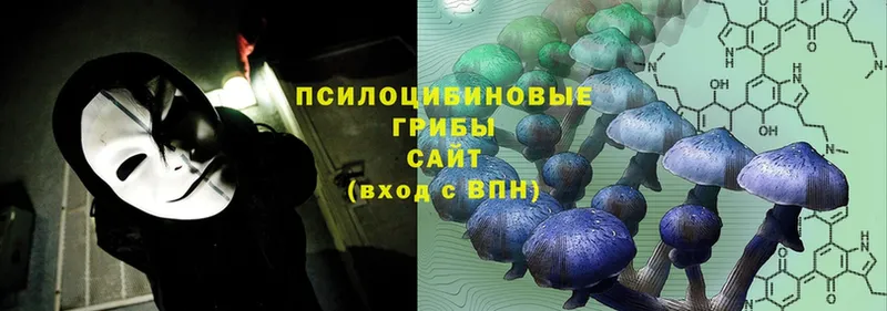 Псилоцибиновые грибы Magic Shrooms  Кизляр 